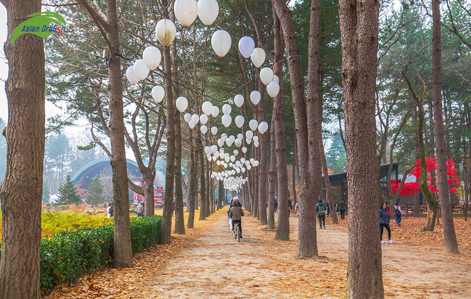 Đảo Nami mùa hè